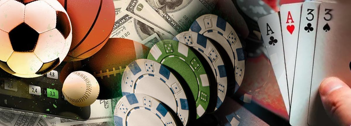 Exploring the World of Betwinner Opportunities and Insights